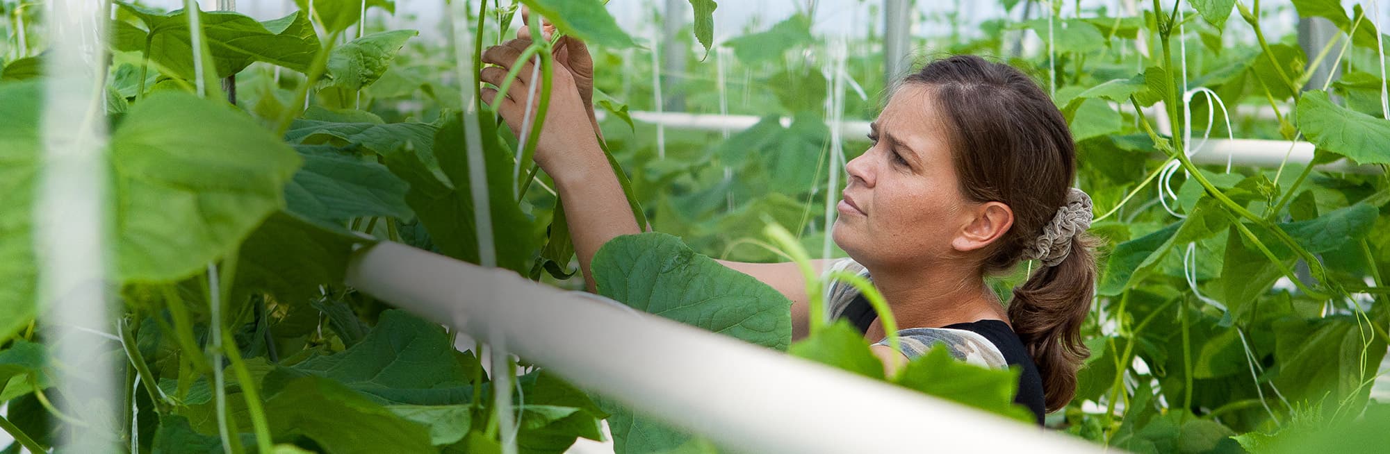 PLASTIQUE_sshome_bann-1_richel